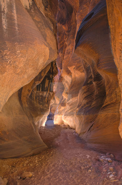 Buckskin Gulch 1