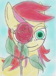 Roseluck