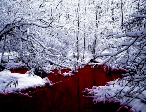 SCP-354  The Red Pool