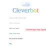 Cleverbot Has Spoken