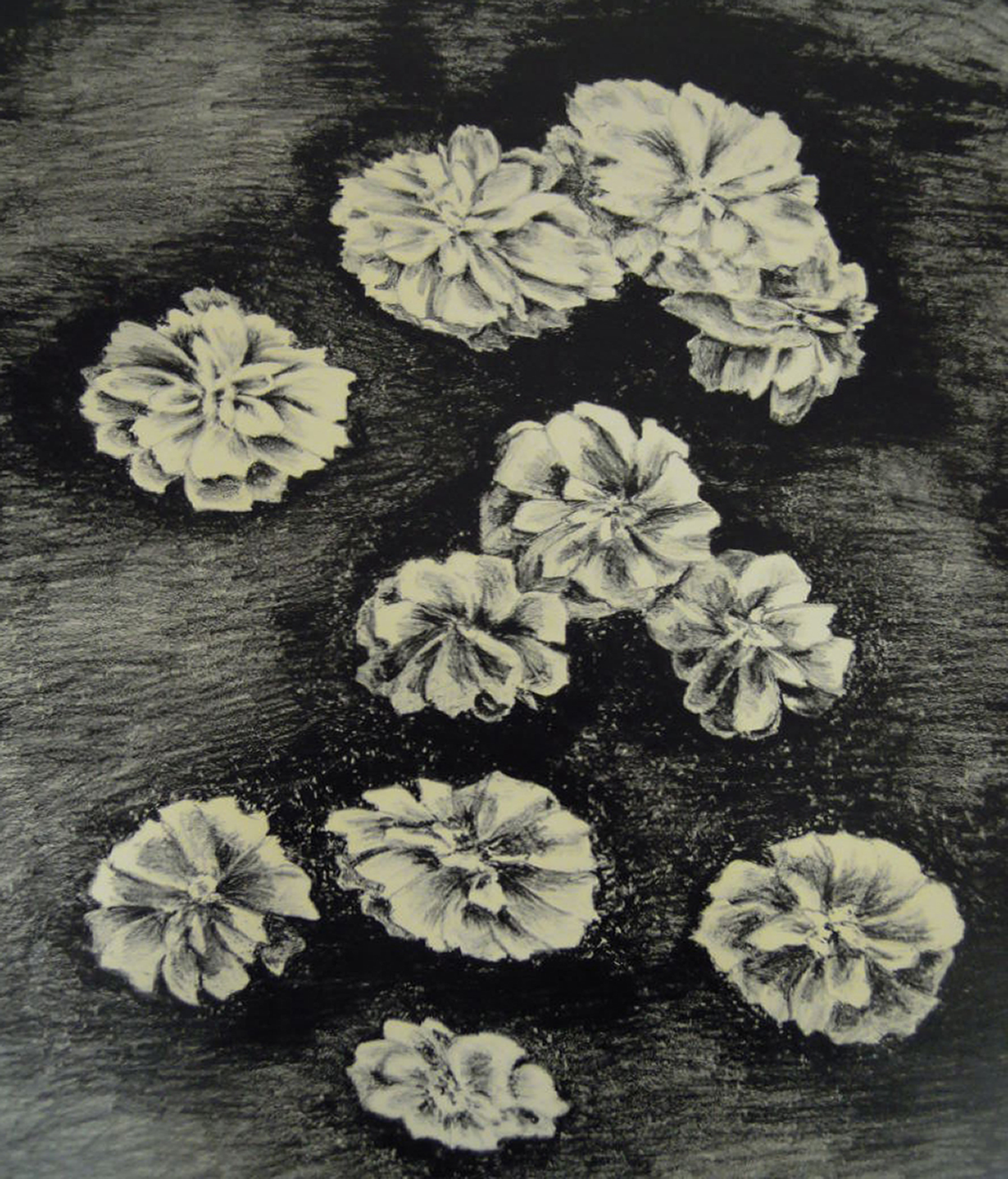 Flowers - lithography