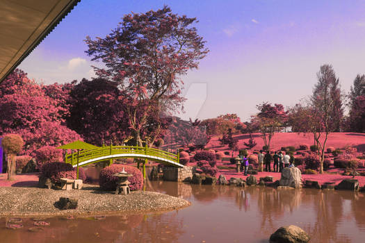 Japanese Garden colour IR