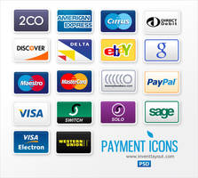 Payment Icons