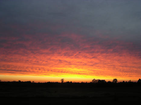 Sunset over the fields