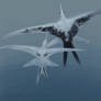 Flying Over Ocean