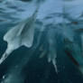 Into the Deep