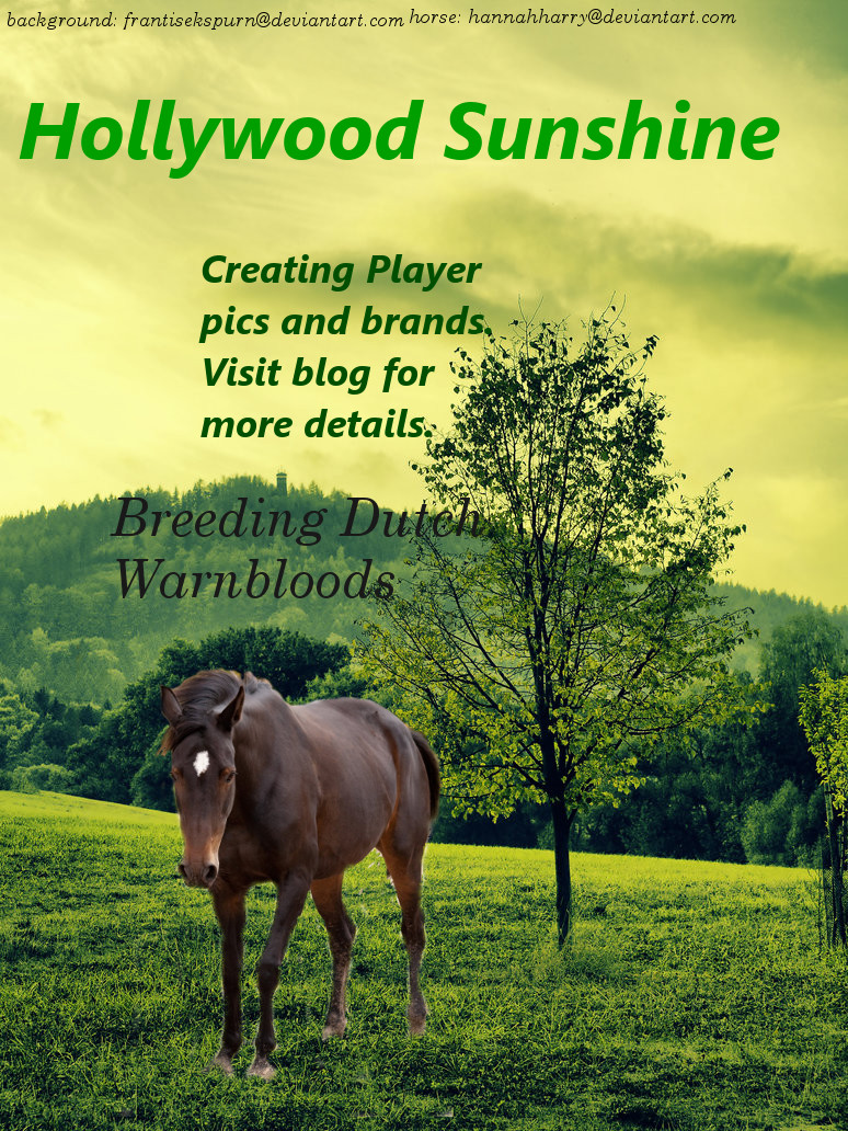 GreenFirld DutchWarmblood HollywoodSunshine