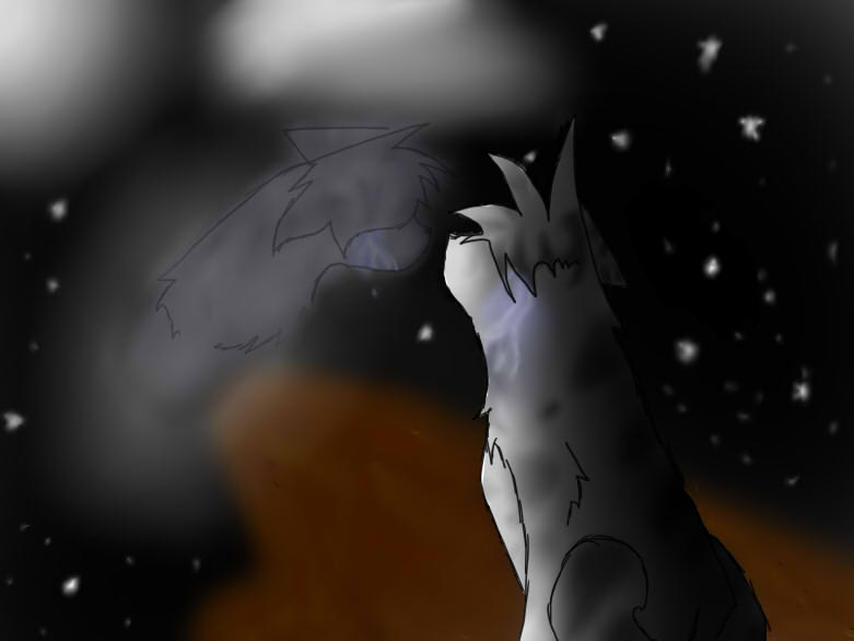 Silverstream and Graystripe