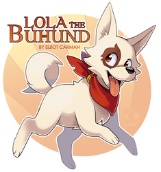 Lola the Buhund