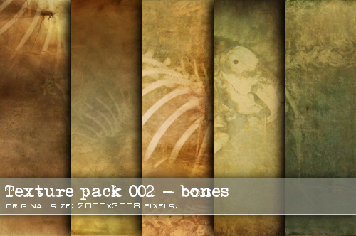 :: Texture pack bones ::