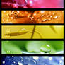 :: Rainbowdrops .::