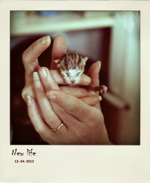 :: New life ::