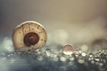 :: Emptyness :: by Liek