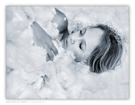 :: Dreams of snow ::