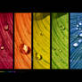 :: Rainbowdrops 5 ::