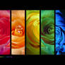 :: Rainbow drops 6 ::