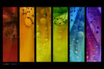:: Rainbow drops' :: by Liek