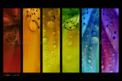 :: Rainbow drops' ::