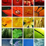 :: The beauty of colors ::