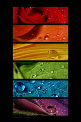 :: Rainbow drops '' ::