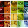 :: The beauty of colors 3 ::