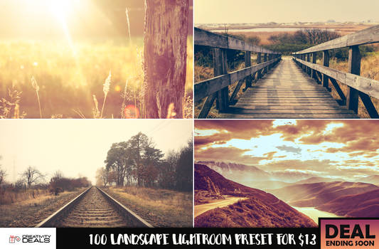 100 Landscape Lightroom Preset for $13