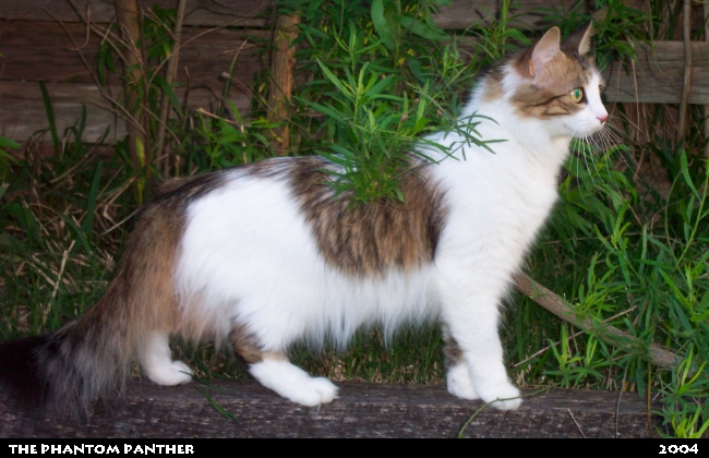 Lily Standing Outside