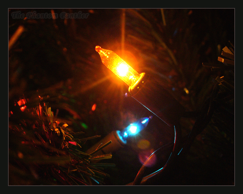 Photo - Christmas Lights 01