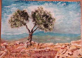 olive tree