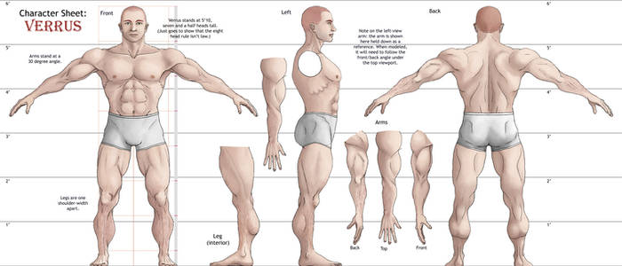 Verrus, 3d Reference Sheet