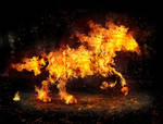 fire horse by salhi