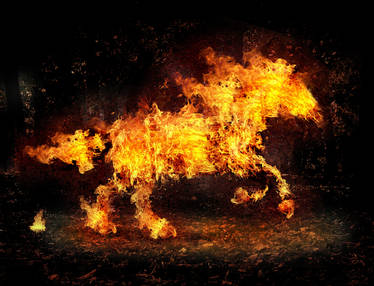 fire horse