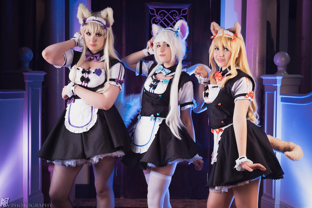 Silly Nekos! Nekopara Group (1)