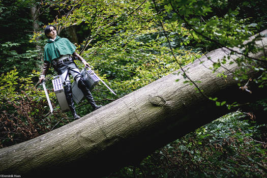 Shingeki no Kyojin: The Forest of Giant Trees