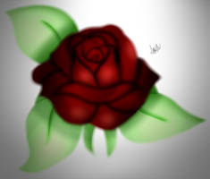 Rose Practice~