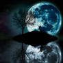 Luna island