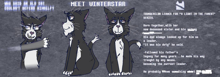 Winterstar ref sheet for a light in the forest 