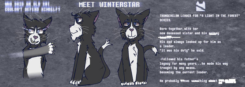 Winterstar ref sheet for a light in the forest 