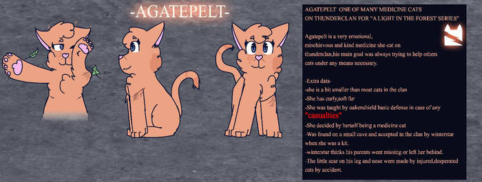 Agatepelt ref sheet 