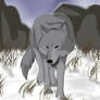 Wolf's Rain---Tsume