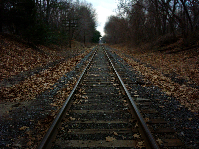 The Tracks 01