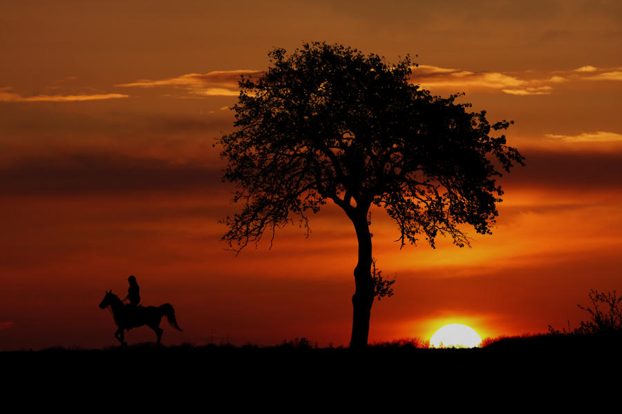 Sunset rider by kopfgeist79 on DeviantArt