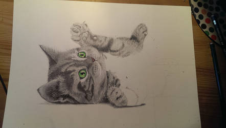 Cat Drawing WIP part 2