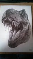 T-Rex Drawing