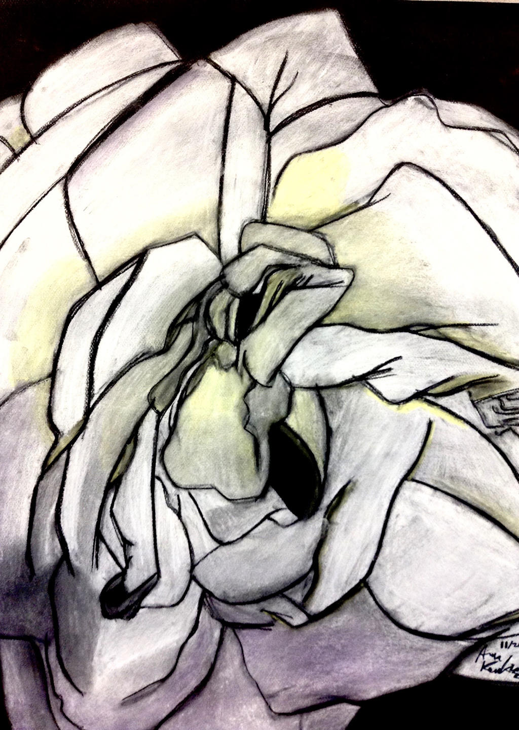 Foundation Art - Georgie O'Keefe Style Flower by Prime55 on DeviantArt