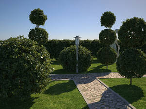 Quick-render-Boxwood