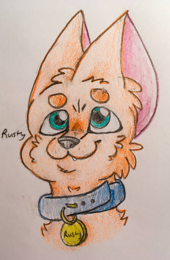 Rusty From Warriors by IcyFoxDrawz on DeviantArt