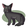 Hollyleaf