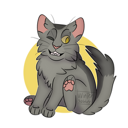 Graystripe