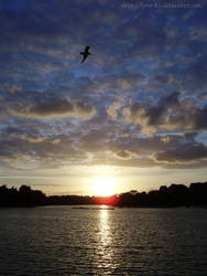 Sunset on the Serpentine